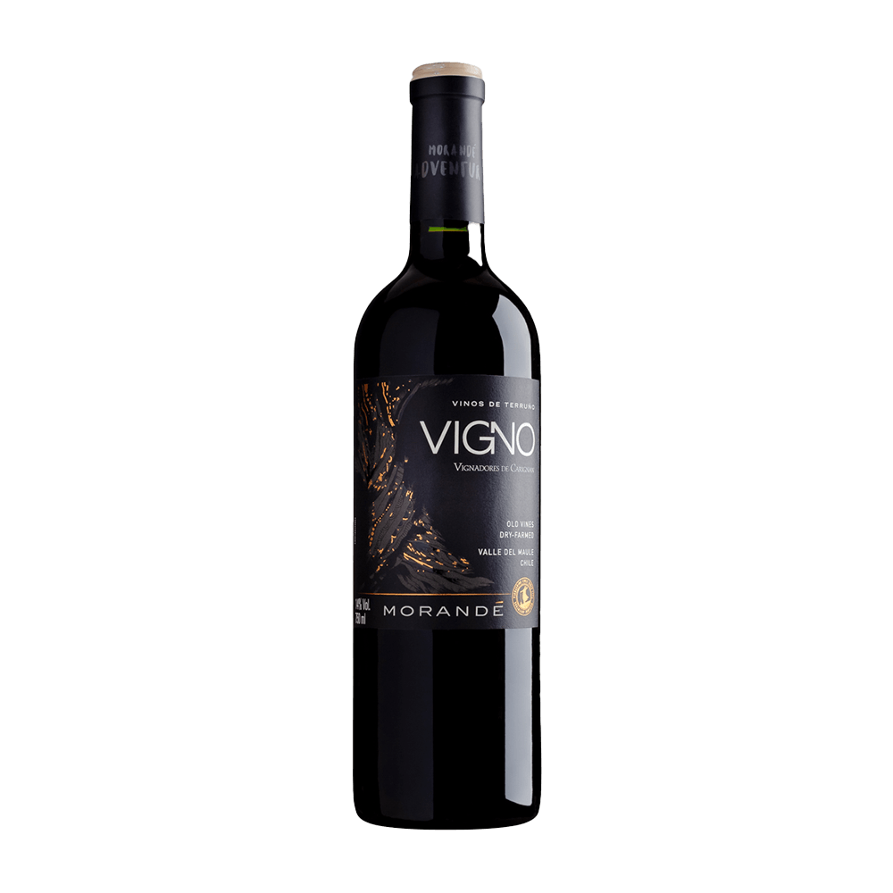 Vinho Morandé Tinto Seco Chile Adventure Vigno Carignan 2020 750ml